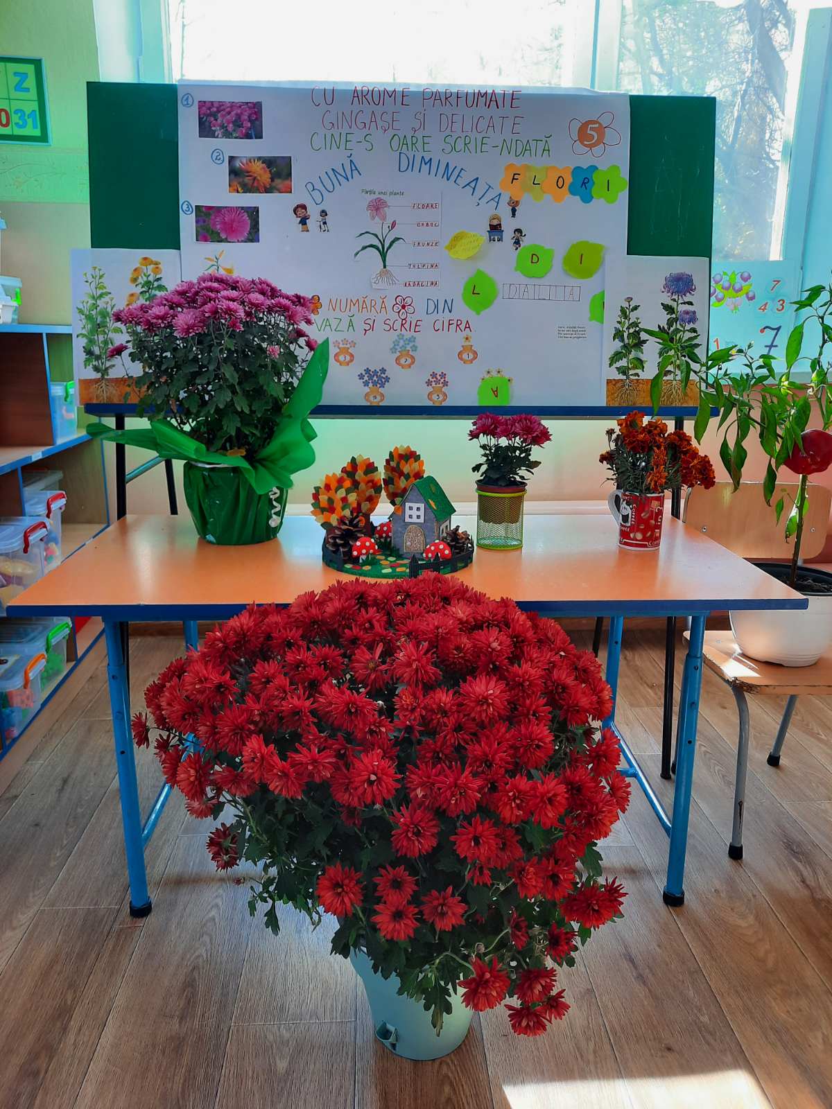 Parfumul florilor de toamnă